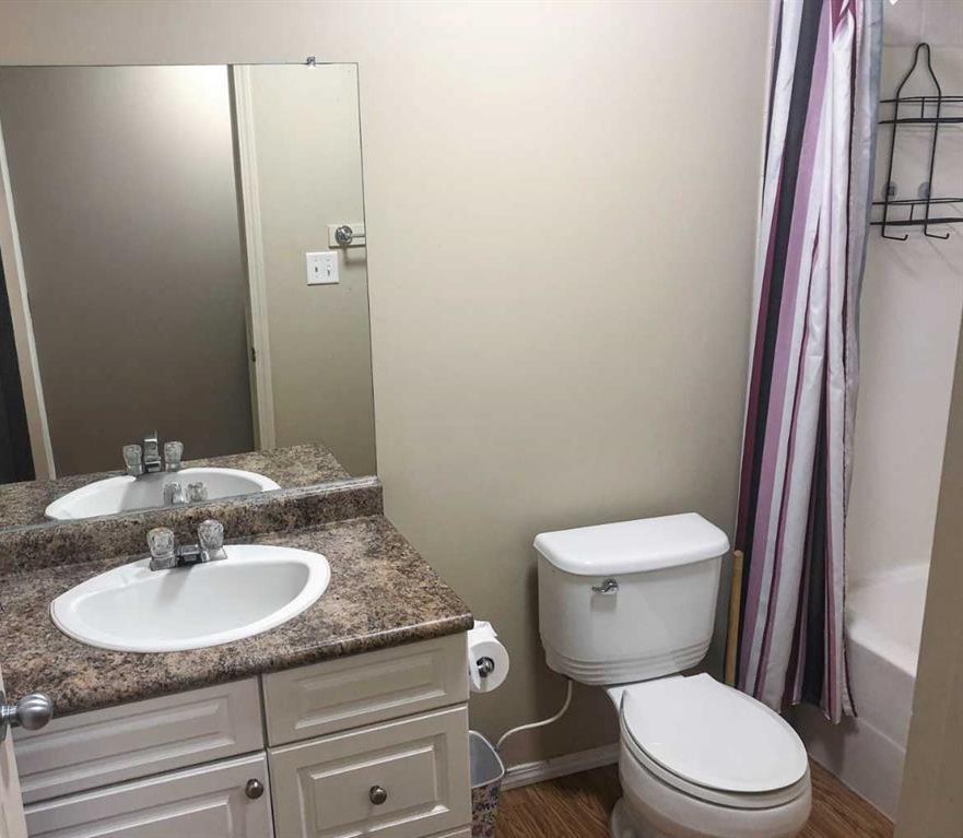 7017 Deer Street, Lacombe, Alberta T4L1Y9 photo 7